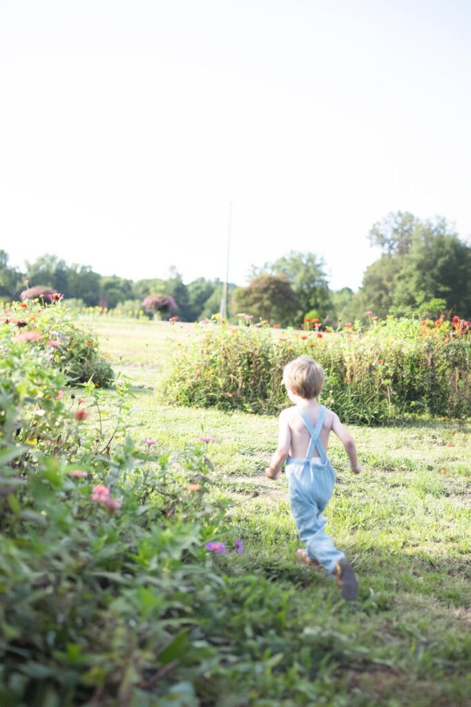 A little boy wearing blue overalls runs through a field of flowers by Mary Eleanor Photography.