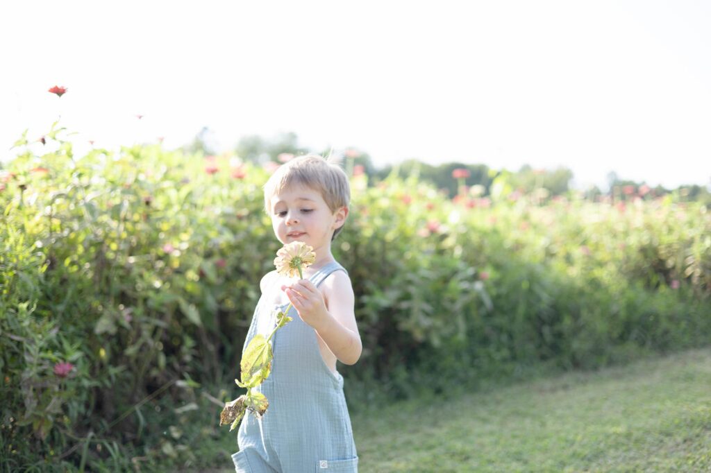 A little boy plays in a field holding a flower he picked during a family photo session by Mary Eleanor Photography.